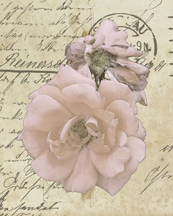 Framed Wishing You Well II Print