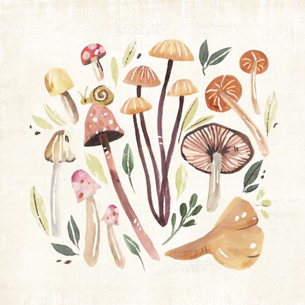 Framed Fungi Field Trip III Print