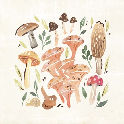Framed Fungi Field Trip IV Print