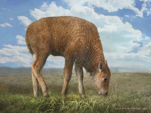 Framed In the Meadow II Print