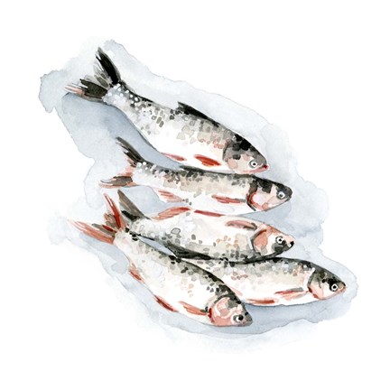 Framed Seafood Snack I Print