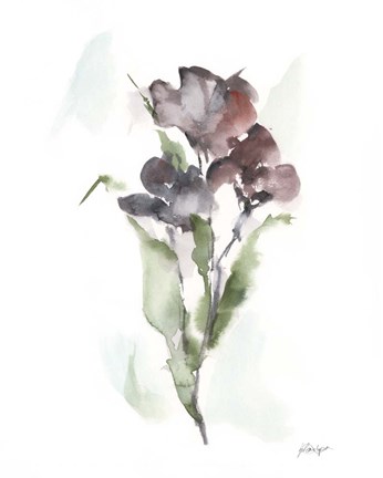 Framed Plum Bouquet II Print