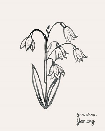 Framed Annual Flowers I Print