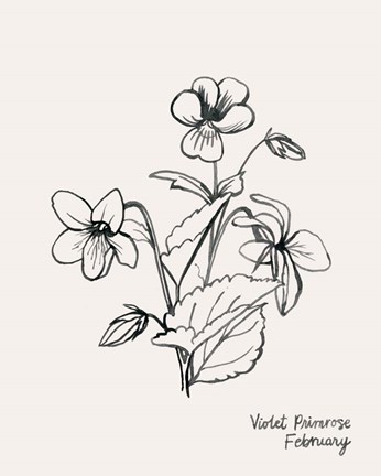 Framed Annual Flowers II Print