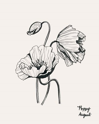 Framed Annual Flowers VIII Print