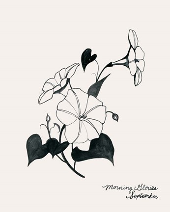 Framed Annual Flowers IX Print