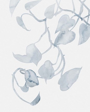 Framed Pothos Penumbra II Print