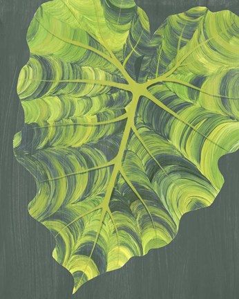 Framed Elephant Ears II Print