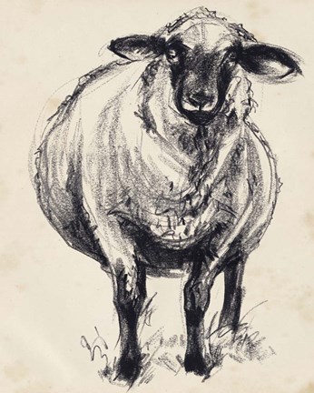 Framed Charcoal Sheep II Print