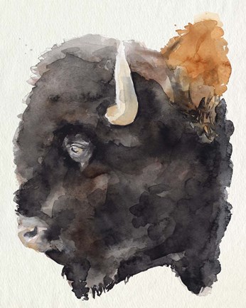 Framed Watercolor Bison Profile II Print