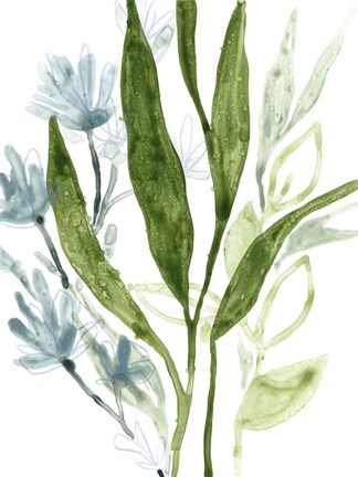 Framed Meadow Blues IV Print