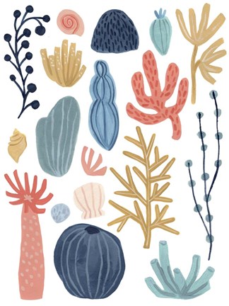 Framed Reef Assortment I Print