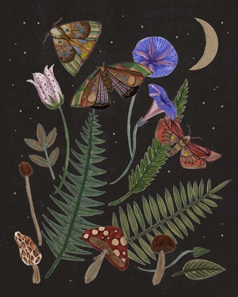 Framed Dark Forest IV Print