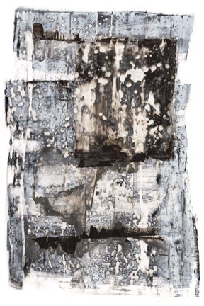 Framed Speckled Remnants II Print