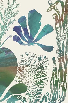 Framed Aquatic Assemblage I Print