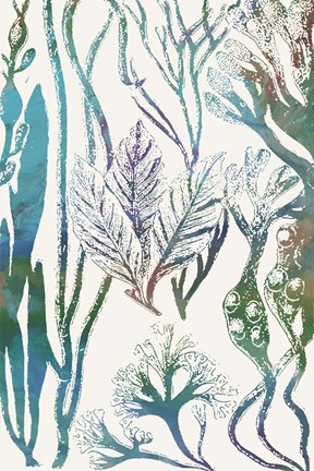 Framed Aquatic Assemblage V Print