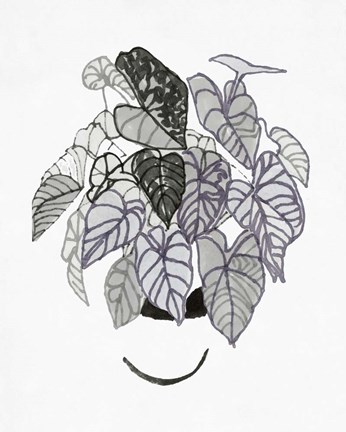 Framed B&amp;W Indoor Plant I Print