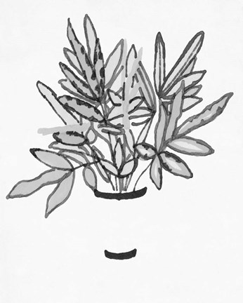 Framed B&amp;W Indoor Plant IV Print