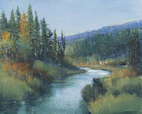 Framed Trout Stream I Print