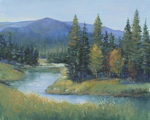 Framed Trout Stream II Print