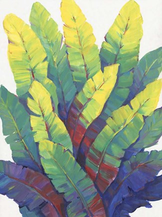 Framed Sunlit Banana Leaves I Print