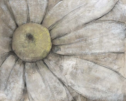 Framed Close-Up Daisy I Print