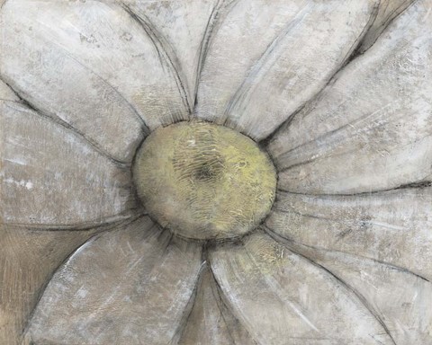 Framed Close-Up Daisy II Print