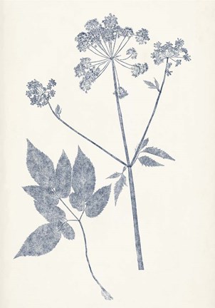 Framed Navy Botanicals IV Print