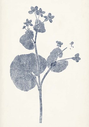 Framed Navy Botanicals VI Print