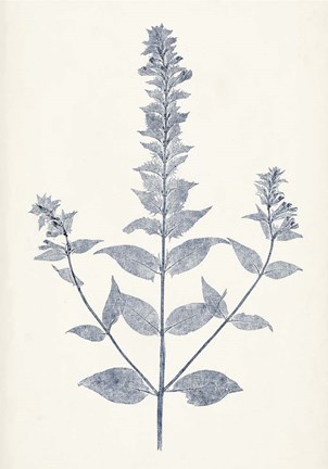 Framed Navy Botanicals VII Print