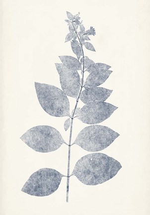 Framed Navy Botanicals IX Print