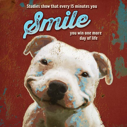 Framed Pet Sentiment I-Smile Print