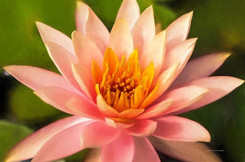 Framed Beauty of the World Print