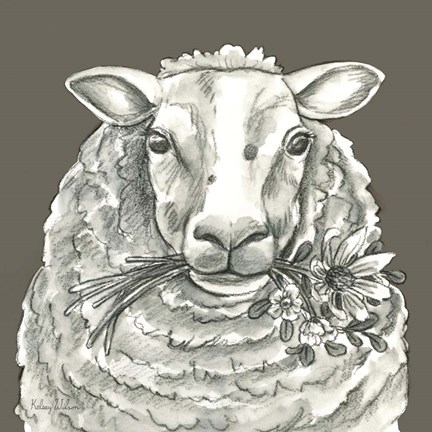 Framed Sheep Print