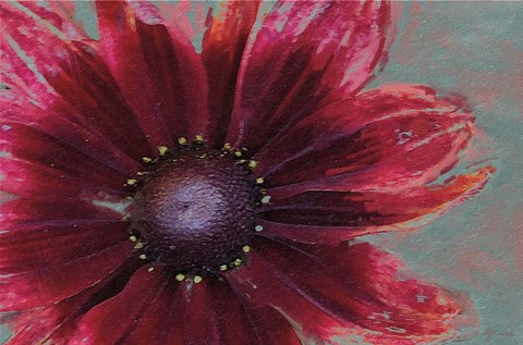 Framed Garden Dream I Print