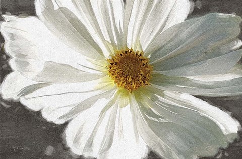 Framed Garden Dream VII Print