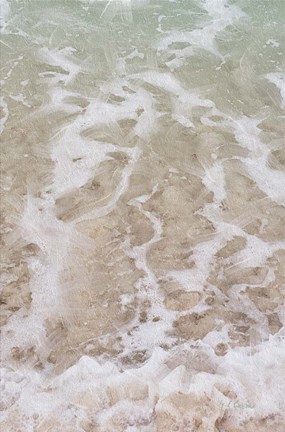 Framed Beach Shore II Print