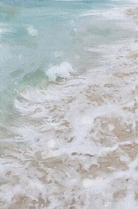 Framed Beach Shore IV Print