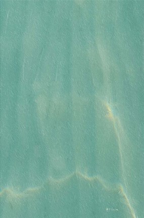 Framed Beach Shore VIII Print