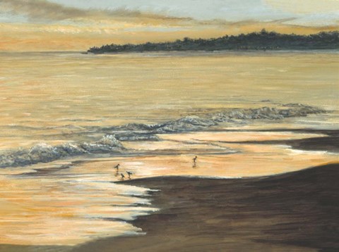 Framed Coastline Print