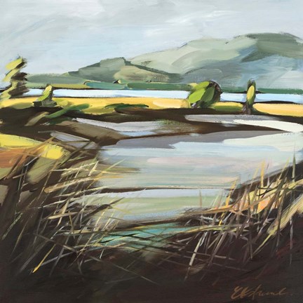 Framed Pantano Print