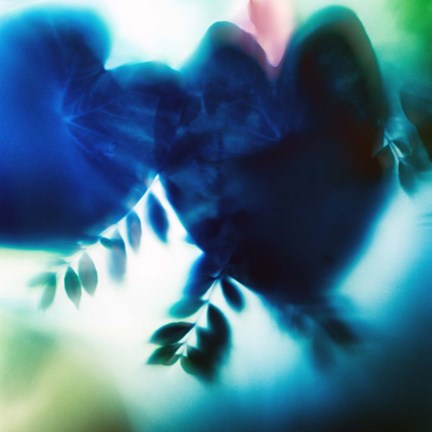 Framed Evergreen No. 2 Print