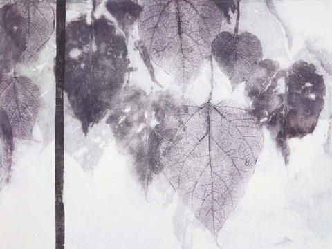 Framed Catalpa Print