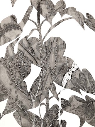 Framed Losarim Print