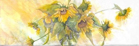 Framed Sun Kissed Sunflowers Print