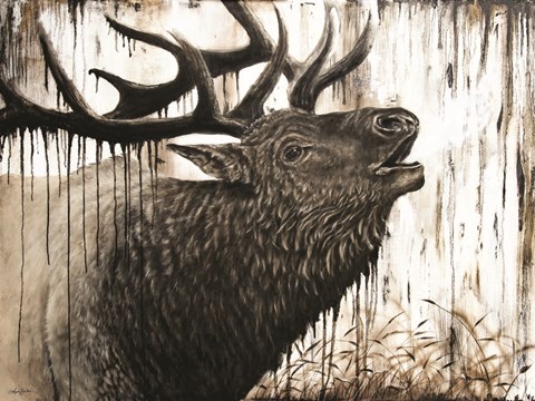 Framed Bugling Bull Elk Print