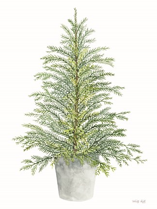 Framed Spruce Tree in Pot Print