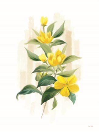 Framed Goldilocks I Print