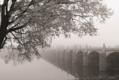 Framed Don&#39;t Be Afraid Print