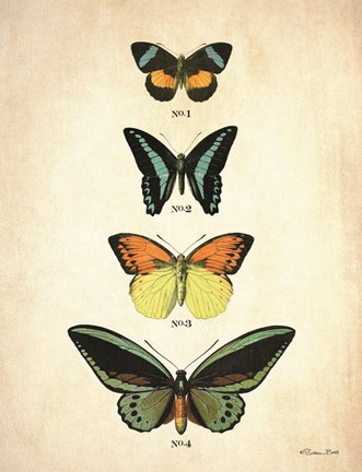 Framed Butterflies 2 Print